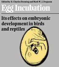 Egg Incubation