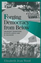 Forging Democracy from Below