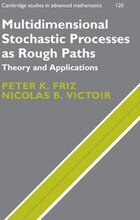 Multidimensional Stochastic Processes as Rough Paths