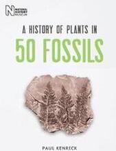 A History of Plants in 50 Fossils