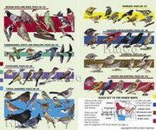 Kaufman Field Guide to Birds of North America