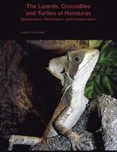 The Lizards, Crocodiles, and Turtles of Honduras