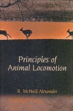 Principles of Animal Locomotion