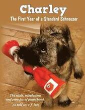 Charley: The First Year of a Standard Schnauzer
