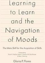Learning to Learn and the Navigation of Moods: The Meta-Skill for the Acquisition of Skills