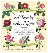 A Rose by Any Name