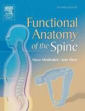 Functional Anatomy of the Spine