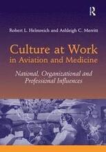 Culture at Work in Aviation and Medicine