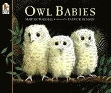 Owl Babies