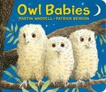 Owl Babies