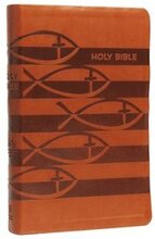 ICB, Holy Bible, Leathersoft, Brown