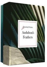 Audubon's Feathers Detailed Notecard Set