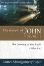 The Gospel of John The Coming of the Light (John 14)