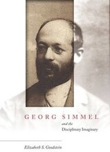 Georg Simmel and the Disciplinary Imaginary