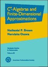 $\textrm{C}*$-Algebras and Finite-Dimensional Approximations