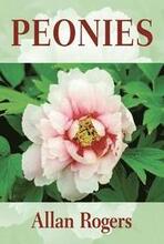 Peonies