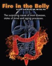 Fire In The Belly: The Surprising Cause of Most Diseases, States Of Mind and Aging Processes