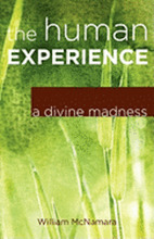 The Human Experience: A Divine Madness