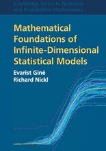 Mathematical Foundations of Infinite-Dimensional Statistical Models