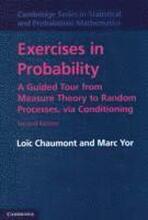 Exercises in Probability