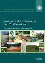 Engineering Tools for Environmental Risk Management