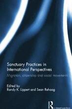 Sanctuary Practices in International Perspectives