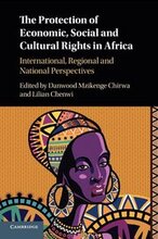 The Protection of Economic, Social and Cultural Rights in Africa