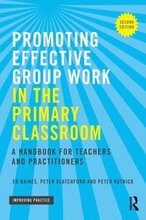 Promoting Effective Group Work in the Primary Classroom