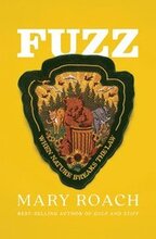 Fuzz - When Nature Breaks The Law