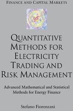 Quantitative Methods for Electricity Trading and Risk Management