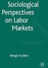 Sociological Perspectives on Labor Markets