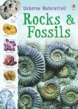 Rocks and Fossils