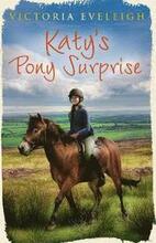 Katy's Exmoor Ponies: Katy's Pony Surprise