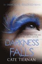 Darkness Falls (Immortal Beloved Book Two)