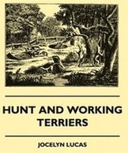 Hunt And Working Terriers