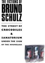 The Fictions of Bruno Schulz: The Street of Crocodiles & Sanatorium Under the Sign of the Hourglass