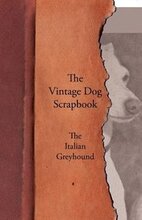 The Vintage Dog Scrapbook - The Italian Greyhound