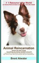 Animal Reincarnation: Everything You Always Wanted to Know! about Pet Reincarnation plus 'how to' techniques to see, feel & communicate with