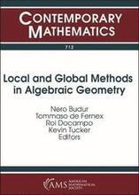 Local and Global Methods in Algebraic Geometry