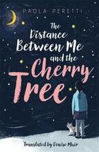 The Distance Between Me and the Cherry Tree