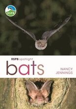 RSPB Spotlight Bats