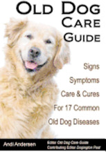 Old Dog Care Guide: Signs, Symptoms, Care & Cures For 17 Common Old Dog Diseases