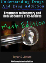 Understanding Drugs and Drug Addiction: Treatment to Recovery and Real Accounts of Ex-Addicts Volume II / Methamphetamine Edition