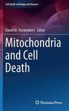 Mitochondria and Cell Death