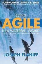 Being Agile in a Waterfall World: A practical guide for complex organizations