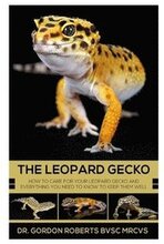 The Leopard Gecko: How to care for your Leopard Gecko and everything you need to know to keep them well.