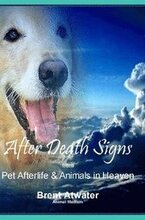 After Death Signs from Pet Afterlife & Animals in Heaven: How to Ask for Signs & Visits and What it Means