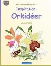BROCKHAUSEN Målarbok Vol. 5 - Inspiration: Orkidéer: Målarbok