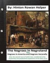The negroes in negroland; the negroes in America; and negroes generally. Also, the several races of white men, considered as the involuntary and prede