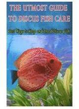 The Utmost Guide to Discus Fish Care: Best Ways to Keep and Breed Discus Fish